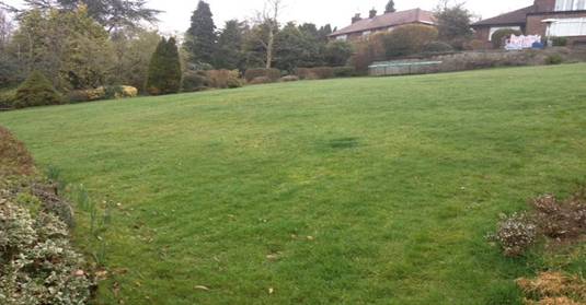 Ambrogio Robot Lawn Mowers